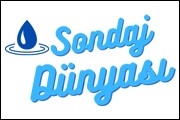 Sondaj Dünyası