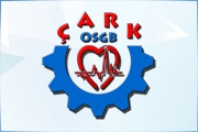 Çark İş Güvenliği Eğitim Sağlık Danışmanlık ve Müh. Hizmetleri San. Tic Ltd. Şti.