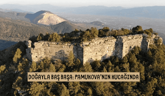 Doğayla Baş Başa: Pamukova'nın Kucağında