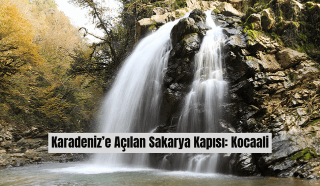 Karadeniz’e Açılan Sakarya Kapısı: Kocaali