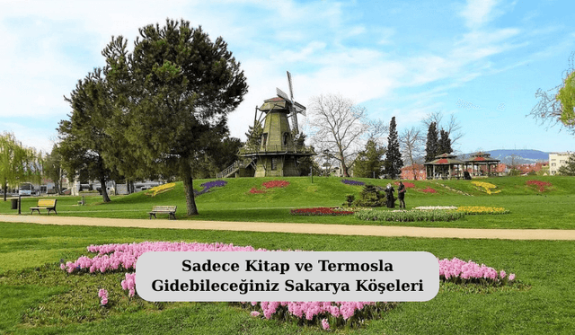 Sadece Kitap ve Termosla Gidebileceğiniz Sakarya Köşeleri