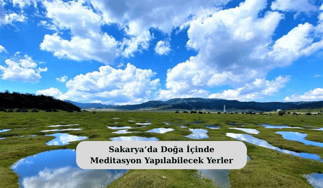 Sakarya’da Doğa İçinde Meditasyon Yapılabilecek Yerler