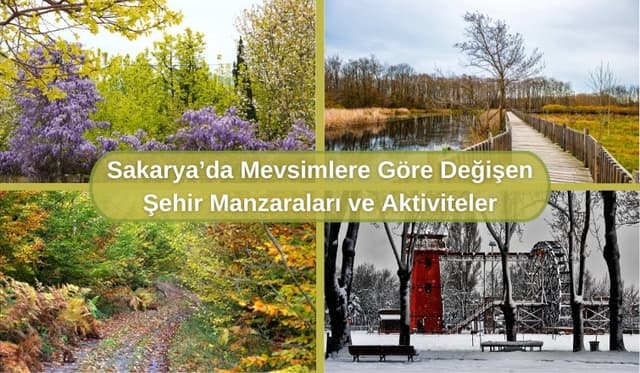 Sakarya’da Mevsimlere Göre Değişen Şehir Manzaraları ve Aktiviteler