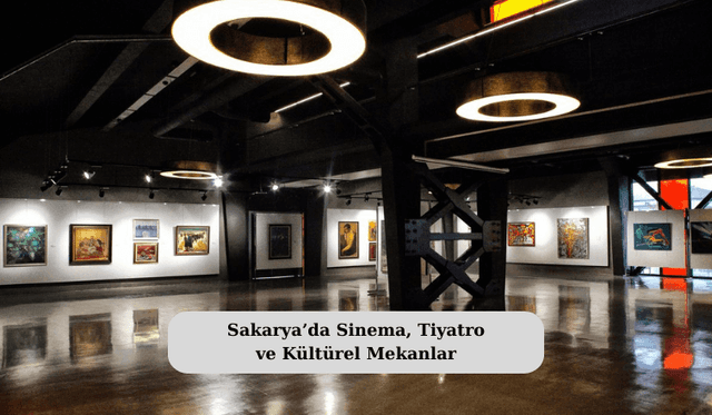Sakarya’da Sinema, Tiyatro ve Kültürel Mekanlar