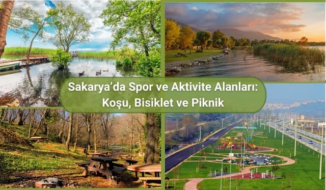 Sakarya’da Spor ve Aktivite Alanları: Koşu, Bisiklet ve Piknik