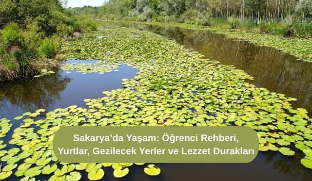 Sakarya’da Yaşam: Öğrenci Rehberi, Yurtlar, Gezilecek Yerler ve Lezzet Durakları